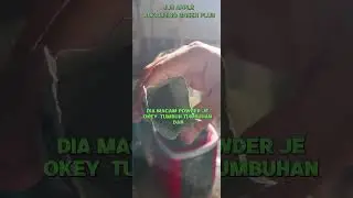 Resepi Jus Apple Alkalising Green Plus