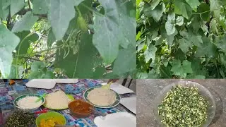 കോവൽ ഇല തോരൻ |koval leaf thoran | ummoos coocking world @Umaiban Shameej