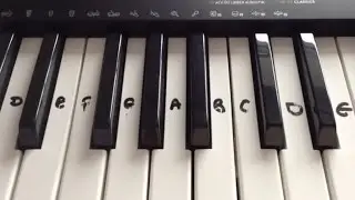 Casio CTK-240 | Keyboard Review & Summary