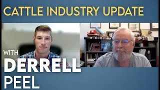 Cattle industry update with Derrell Peel