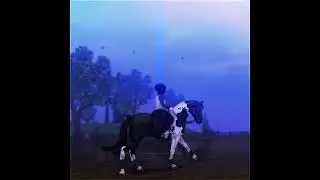 remake; clips: sallysoftcat on tiktok #sso #starstable #ssoedit #starstableonline