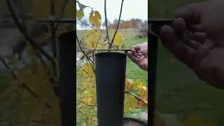 Oil Barrel Smoked Salmon! 🔥🛢️