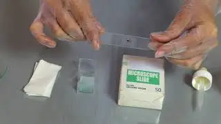 Preparat Hazırlama/MEB
