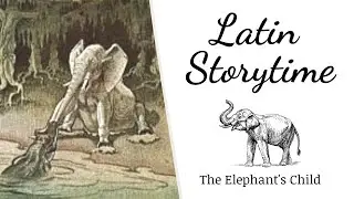 The Elephant's Child | Latin Storytime