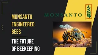 What If Monsanto Created Their Own Bees?