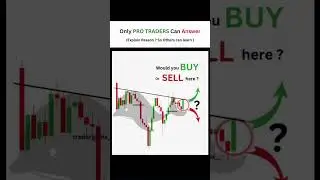 trading quiz test
