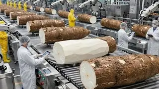 Inside a Modern Cassava Granules Factory: Industrial Washing for Premium Silky Starch (Full Process)
