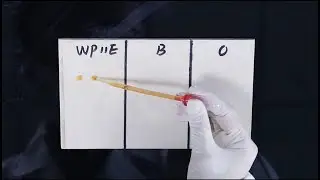 High performance waterproofing agent RJ-WP11E used for wood