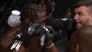 Cannonier vs Brunson
