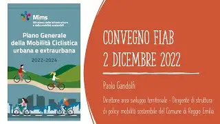 Paolo Gandolfi: Senso e ruolo del Piano Generale della Mobilit&agrave; Ciclistica