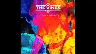 The Vines   I Bet You Look Good On The Dance Floor (Arctic Monkeys Cover)