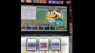 $25 Ruby & $15 Max Lucky Ducky!