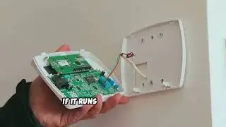 Nest Thermostat Display Blank or Not Working? Fix It!