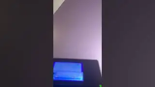 Squinkies 2 gameplay