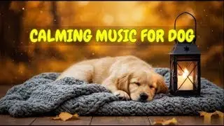 12 HOURS of Sleep Music for Dogs Home Alone 🐶🎶 | Reduce Barking, Anxiety, and Night Whining