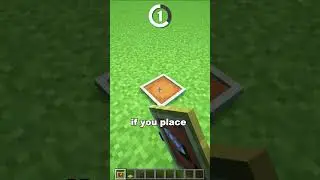 Invisible Item Display 🔍