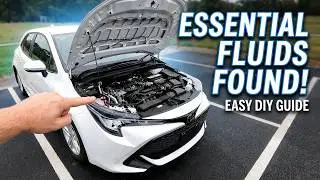 Местонахождения жидкостей в Toyota Corolla: моторное масло, охлаждающая жидкость, жидкость стекло...