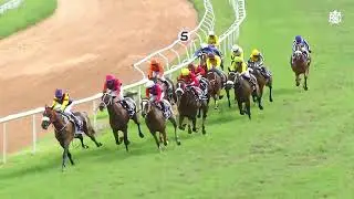 PHILOSOPHY | The Fillies Championship Stakes (Gr.1)
