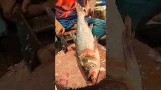 Amazing Big Silver Carp Fish Cutting Skills | Fish Cutting Skills #fishcutting #banglasong #keşfet