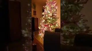 angel climbing tree