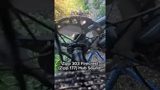 Zipp 303 Firecrest (Zipp 177) Hub Sound Check! #zipp #cycling #hubsoundcheck #gravelbike