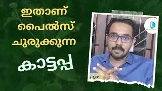 195 | കാട്ടപ്പ എന്താണ്? ഏതാണ് ? ഏതല്ല....! പൈൽസ് ചുരുക്കുന്ന ആ മരുന്ന് ഇതാണ്....