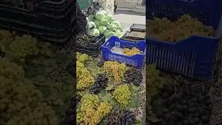 Turkey 🇹🇷 bazar #Dragon fruit and sweet grape market#turkey ##bazar #fruit
