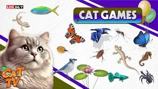 🔴 CAT GAMES 24/7 😻 NON-STOP FUN WITH BUGS, BEETLES & INSECTS &ndash; VOL 79 🐝🦋🐞