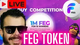 Feg token Price | Smart Defi Updates