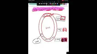 Medical Chemistry/ L5 / P1 / Body PH Balance