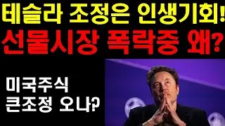 테슬라 조정은 인생기회! 선물시장 폭락중! 이유는! 미국주식 큰 조정오나? 트럼프발 큰 조정장은 엄청난 줍줍기회! 결국 기회를 잡는 사람이 돈을 번다! 구글 엔비디아 팔란티어 기회