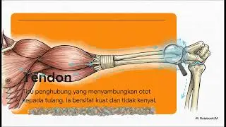 6.2 Pergerakan dan Pertumbuhan Manusia (Jentera Pergerakan Anda)