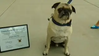Hero dog saves family from fire