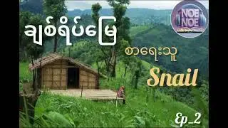 ချစ်ရိပ်မြေ (အပိုင်း ၂)  Snail ၊(Bl)