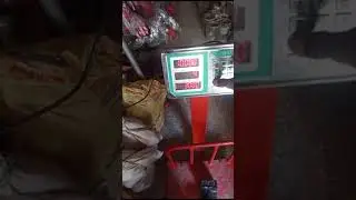 mac scale 300Kg calibration