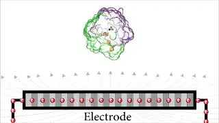 Modeling of the Electrostatic Interaction of [NiFe] Hydrogenases on a Planar Electrode