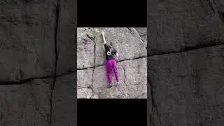 Ape Index (V3), (Matt Buczek), Powerlinez
