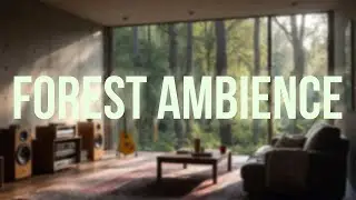 Forest View Ambient Music 🌿 Warm Organic Background for Focus & Relax