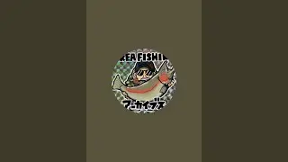 【ライブ配信】20251023東山湖オープン日釣行