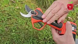Fruit tree branches, dry wood, and young shoots are handled with clean precision using the KT 9030.