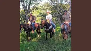 V&aacute;monos pa las carreras