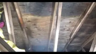 Goldmorr - Attic Mold Remediation Effectiveness