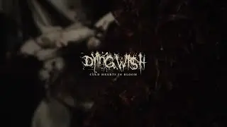 Dying Wish - Cold Hearts In Bloom (Official Audio Stream)