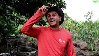 boa noite YouTube video Valmir Lima Apresenta 12/01/2022