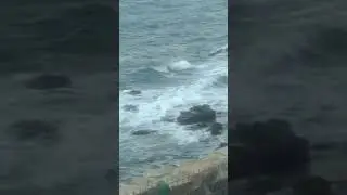 Golven