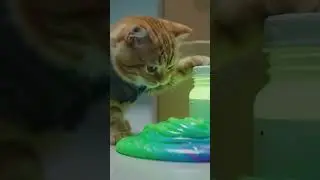 #cats #cat #story #kitten #kitty #shorts #short #ai #history