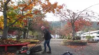 How to Shred & Mulch leaves Fast