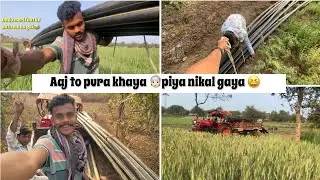 Aaj Pura Khya Piya Nikal Diya 😂traditional farming in india 🇮🇳 #india #farmar #vlog 
