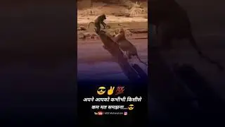 कम मत समजना/Motivational Status