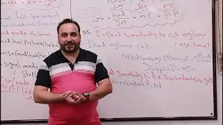 انكليزي السادس الاعدادي / الوحدة2 / المحاضره 4/  have وget وmake